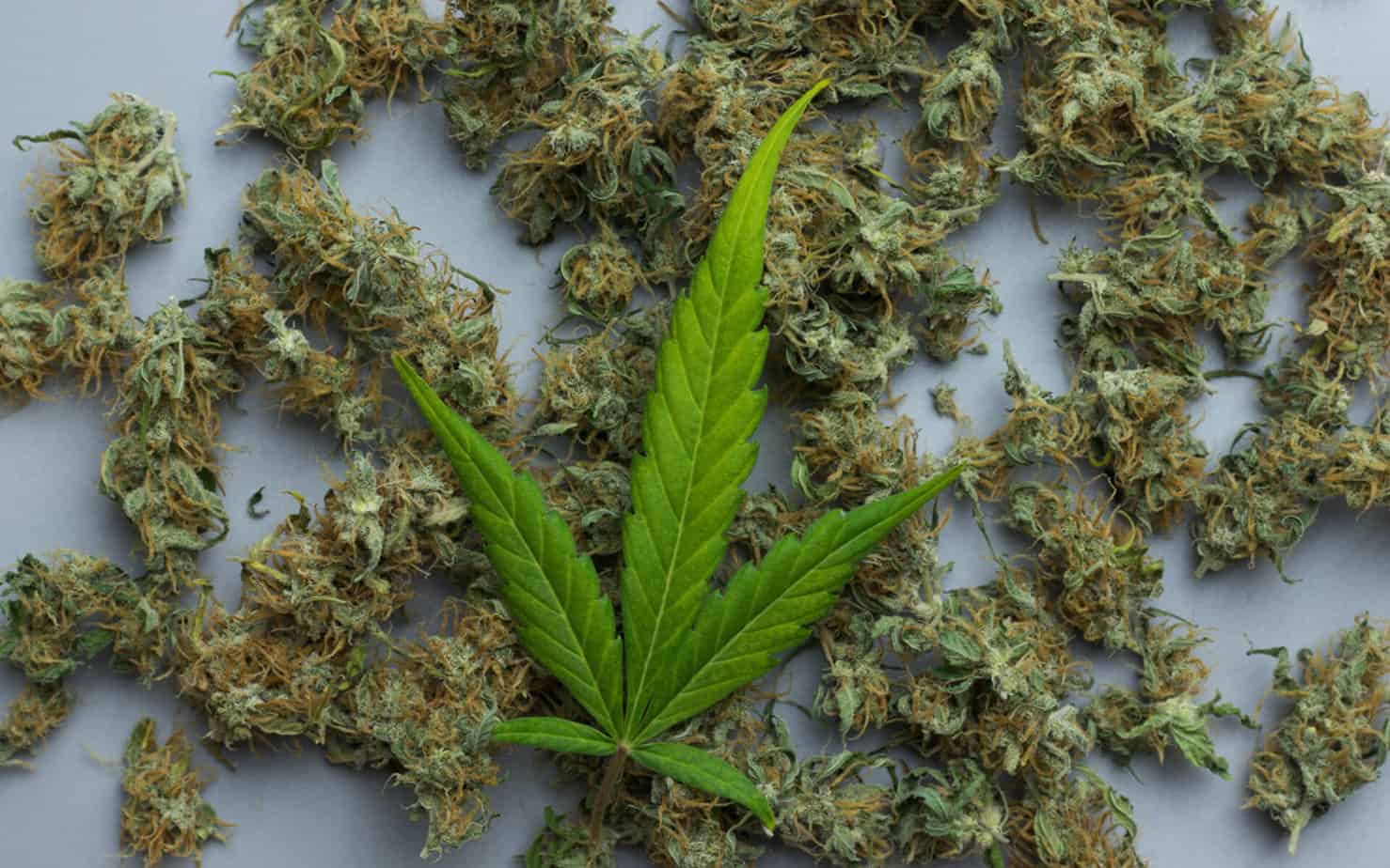 LA County Dismisses 66,000 Marijuana Convictions