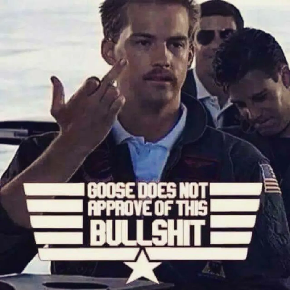 Top Gun is now officially dealyed, much to our, and Goose's, disapproval.