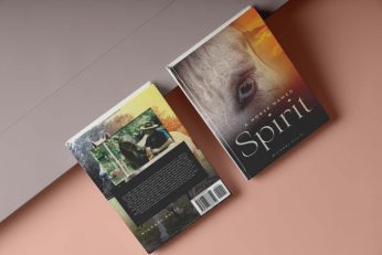 What Are the Benefits Of Having a Horse?